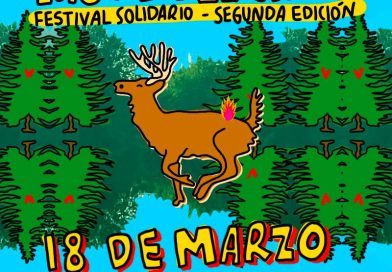LAGO EN EL CIELO: Festival Solidario el 18/3